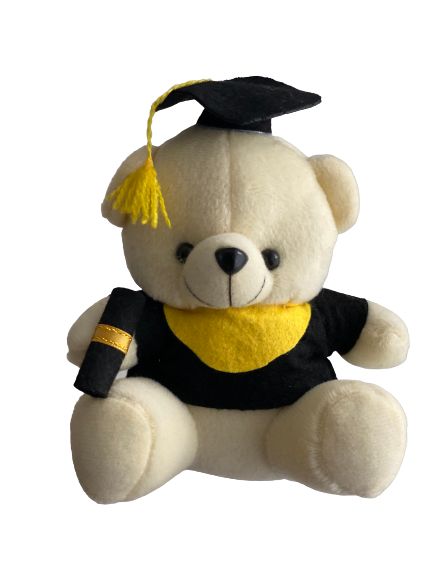 Graduation Teddy Bear