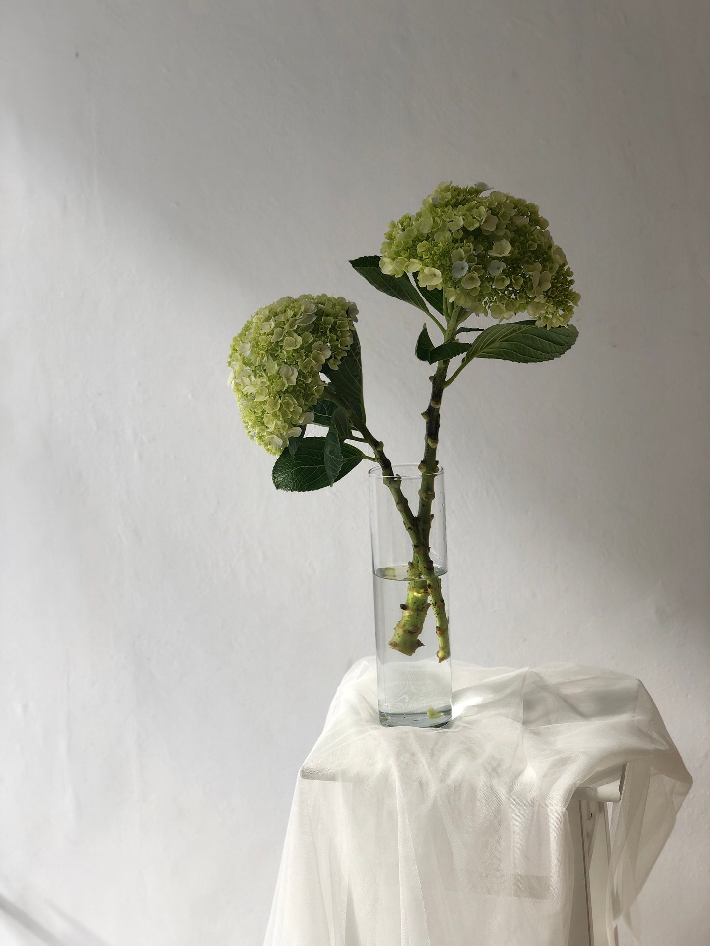 Single Hydrangea Bouquet